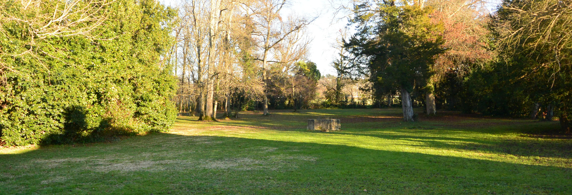 Château La Ferrade 4
